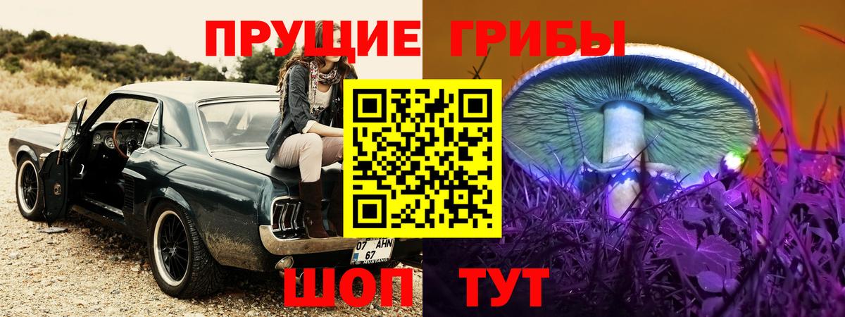 Галлюциногенные грибы Cubensis Петропавловск-Камчатский