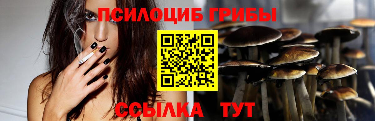 Петропавловск-Камчатский  Галлюциногенные грибы Psilocybine cubensis  Вход с VPN 